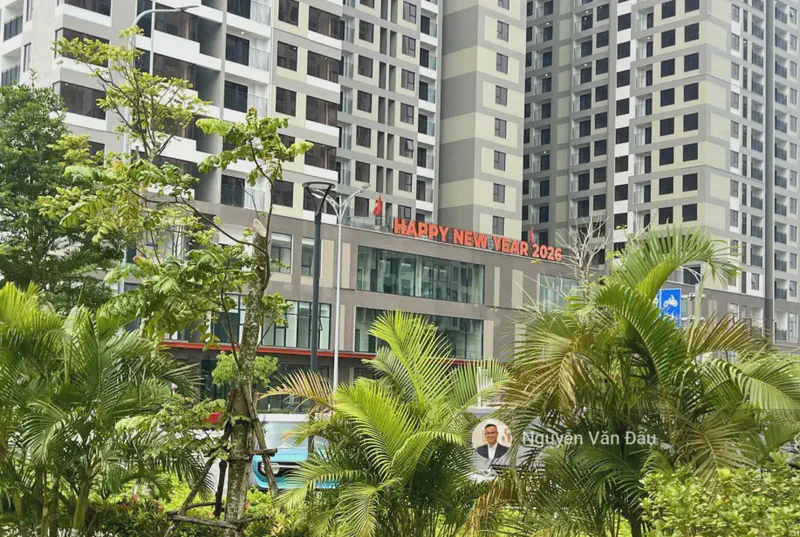 FPT Plaza 2-Bedroom 61m² — view